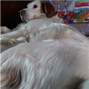 Docente attualmente insegnante scuola primaria Rancio Valcuvia